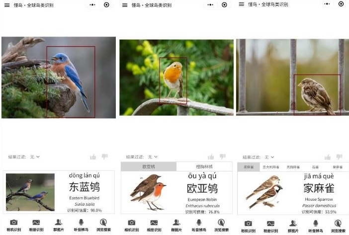 懂鸟app官方版 - 鸟类识别和科普软件