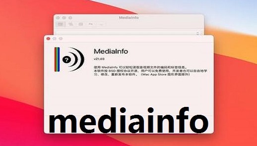 MediaInfo安卓汉化版 - 视频文件检测工具
