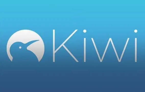 Kiwi浏览器中文苹果版 v112.0 谷歌Chromium内核浏览器