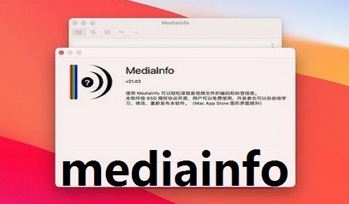 MediaInfo安卓汉化版 v22.09 视频参数检测工具