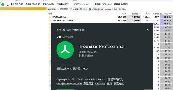 TreeSize Pro单文件专业版 v8.6.0 电脑磁盘清理软件
