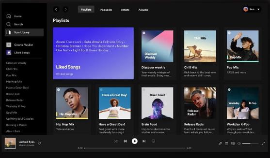 Spotify for Windows中文汉化版